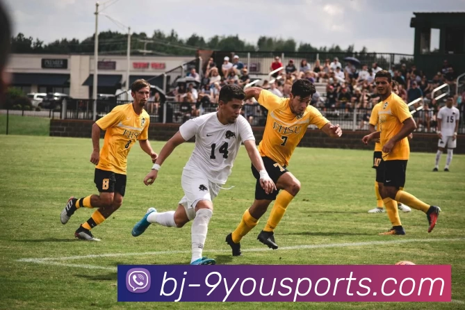 App Interface Preview